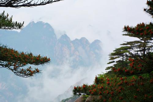 谚语赞美黄山
