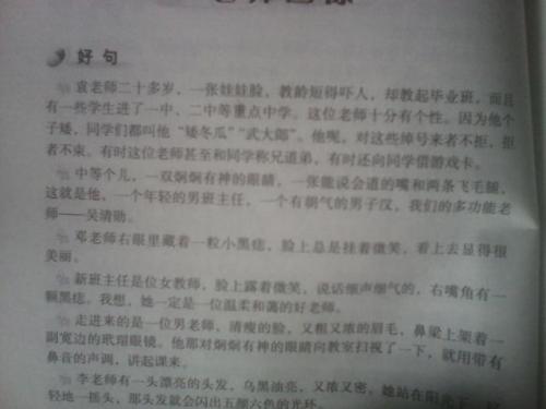 赞美冬天的好单词和句子