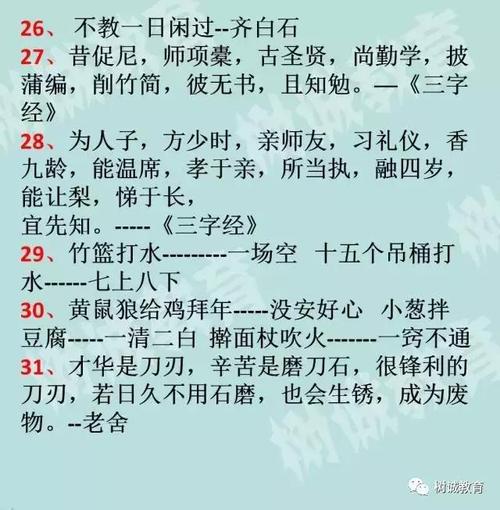 学习无尽的名言和谚语