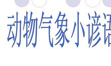 和动物有关的天气谚语