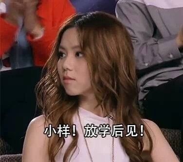 邓子奇的美学话语