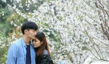 感慨爱情的句子：被爱不一定是幸福，去爱才真的幸福