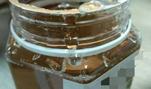 吃了蜂蜜歇后语