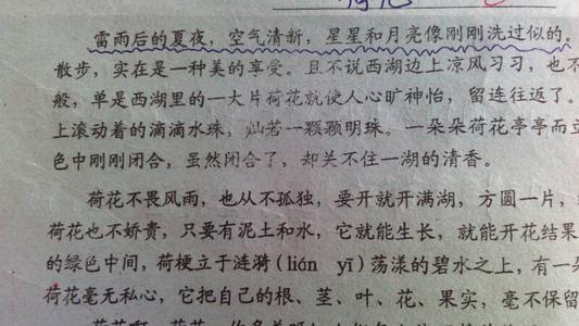 更长的隐喻