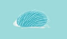 关于刺猬的个性签名