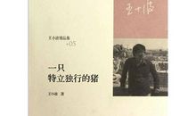 一只特立独行的猪经典语录