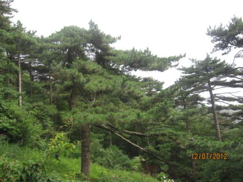 黄山谚语