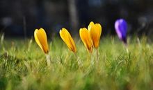 2019经典哲理句子