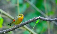 享受周末的心情短语