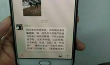 2020年新春廉政短信