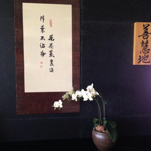 喝茶了解人生的经典句子