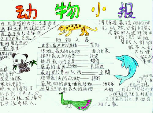 在小学二年级学到的谚语