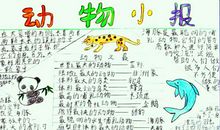 小学二年级上册学过的谚语