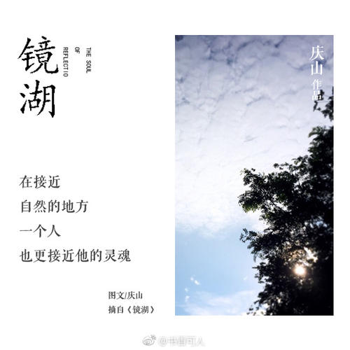 安妮宝贝的青春行情