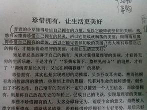 关怀并行性句子
