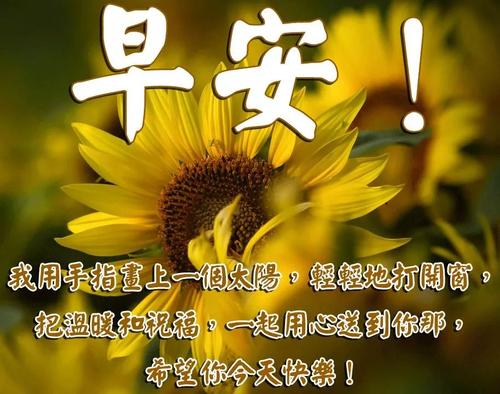向朋友发送圈子的祝福