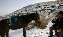 邮递员进门歇后语