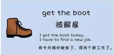 关于动物的谚语