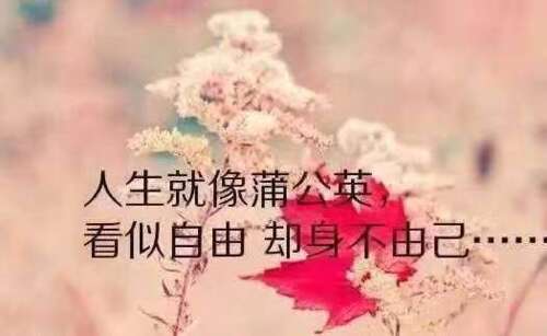 2019年最经典的哲学句子