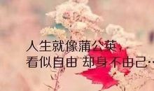 2019最经典哲理句子