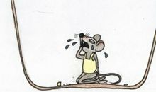 歇后语出洞的老鼠