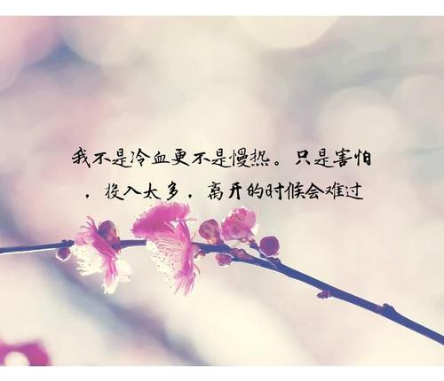 等待你的句子