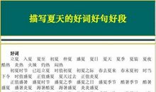 描写钓鱼的好词好句