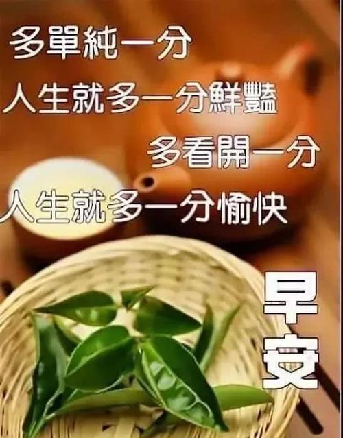 夏日早晨的祝福
