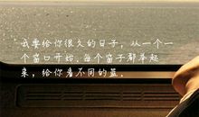 深情告白的句子简短