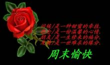 愉快的周末的心情说说