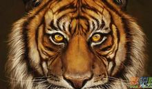 老虎扑食的歇后语