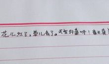 写排比句29字