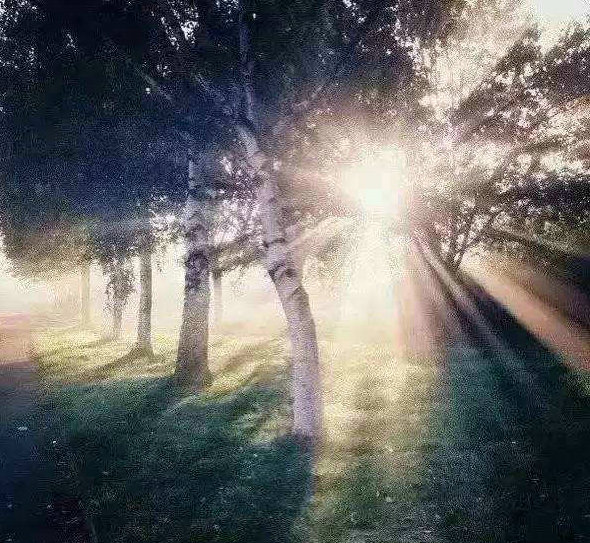 明天的太阳会准时到达，一切都会变得更好
