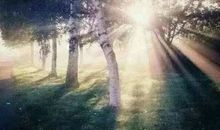 明天的太阳会按时到达，一切都会慢慢好起来的