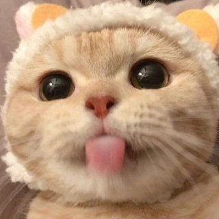长句子