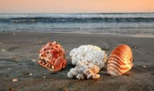 形容沙滩的比喻句