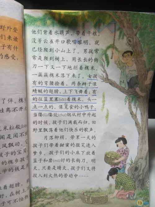 西瓜拟人化句子