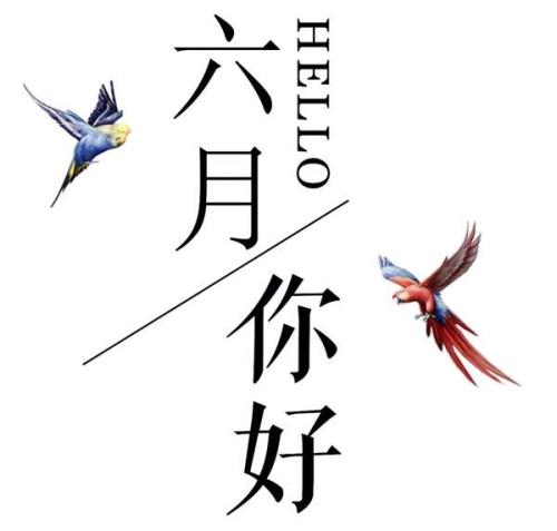 朋友圈的深度句