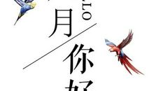 朋友圈深度的句子