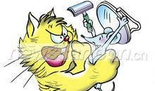 岸上捞月歇后语