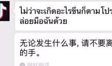 表白的英文句子带翻译