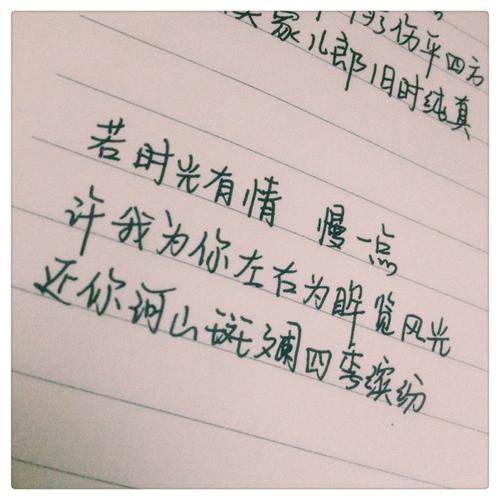 古墓丽影笔记的句子