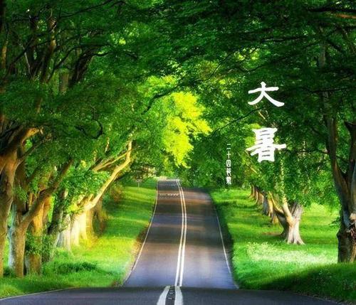 盛夏的祝福