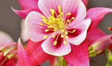 让人难忘的句子