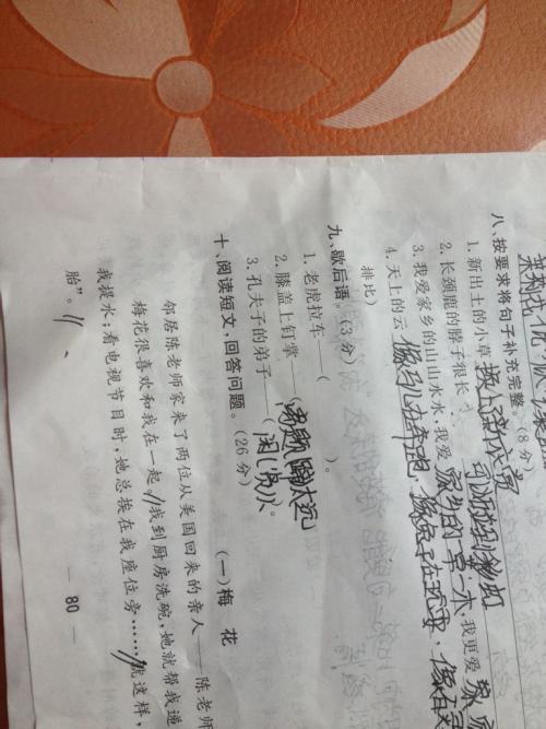 老虎进村后