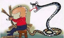 关于动物英文谚语