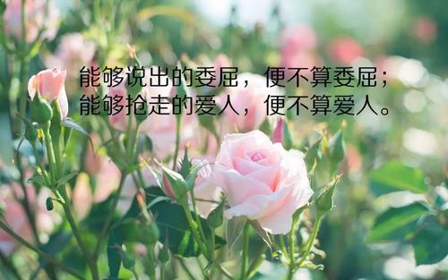 朋友圈深句子
