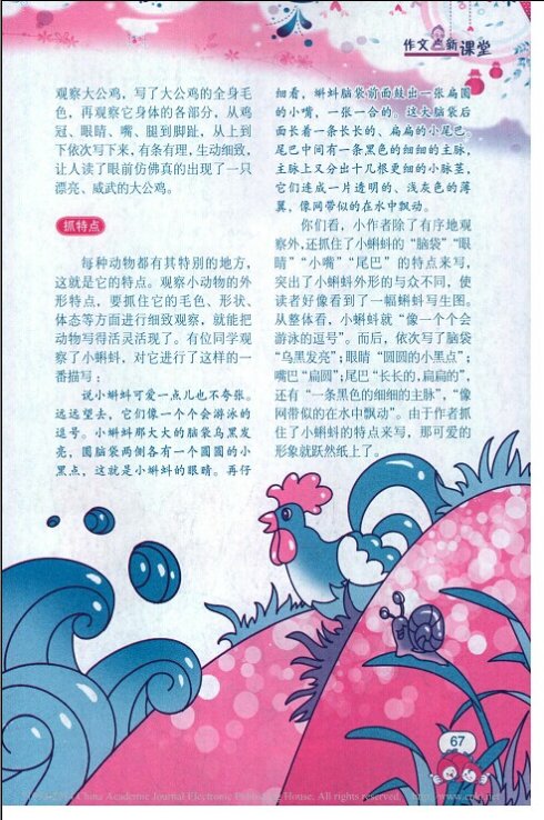 小学女生外观描述