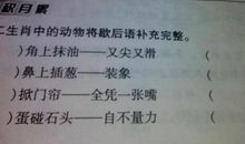 有关于生肖的谚语