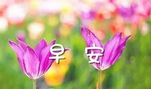 心情愉快的祝福语